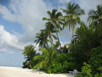 Maldives, South Nilandhe Atoll, Meedhuffushi, Vilu Reef Beach